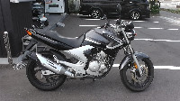 YBR250