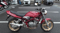 バンディット250