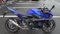 GSX250R