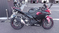 �j���W�� Ninja 250