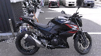 Z250